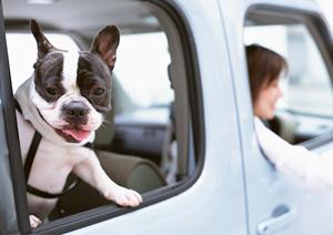 【最新版】トラック査定で差をつける！高額査定を実現するための徹底ガイド