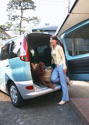 大阪最大級の軽自動車・未使用車専門店【カミタケモータース】の魅力と最新在庫情報